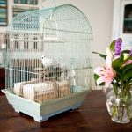 turquoise birdcage