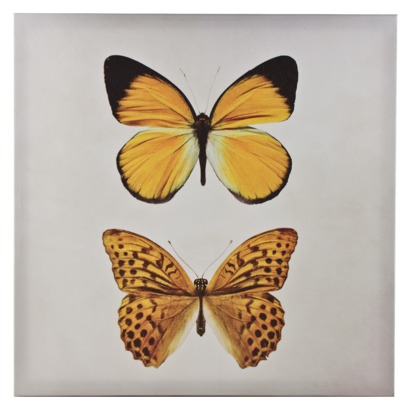 butterflies art