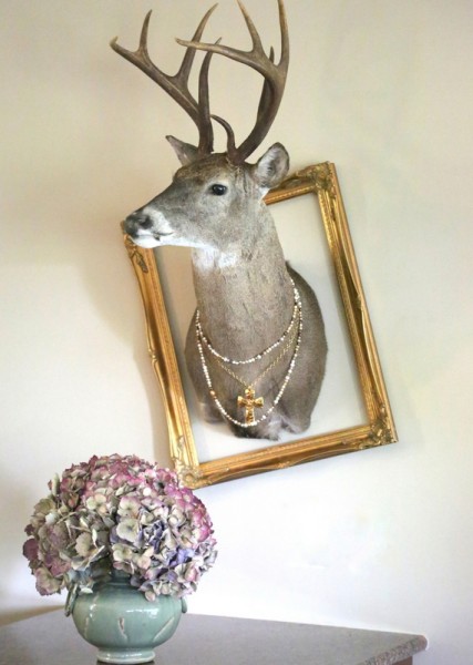 mounted deer