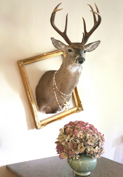 taxidermy deer decorating