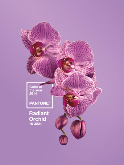 Radiant Orchid, Pantone 2014 Color of the Year