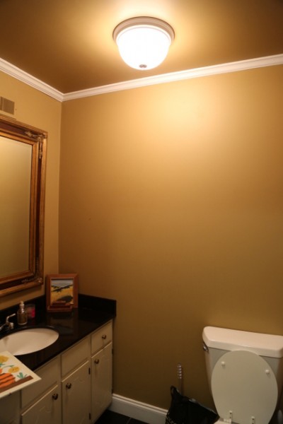 brown poop bathroom