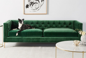 green colorful sofa