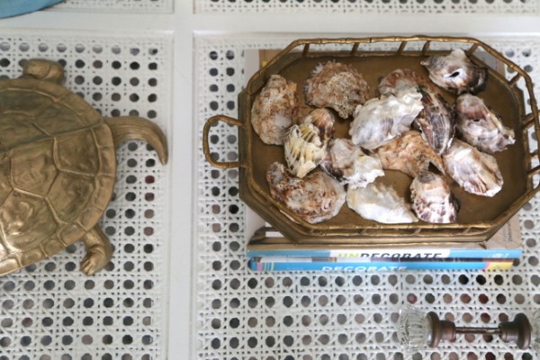 oyster shell decor