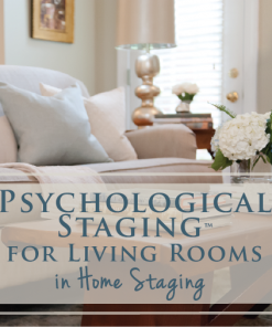 psychological-staging-for-living-rooms-workshop-videos