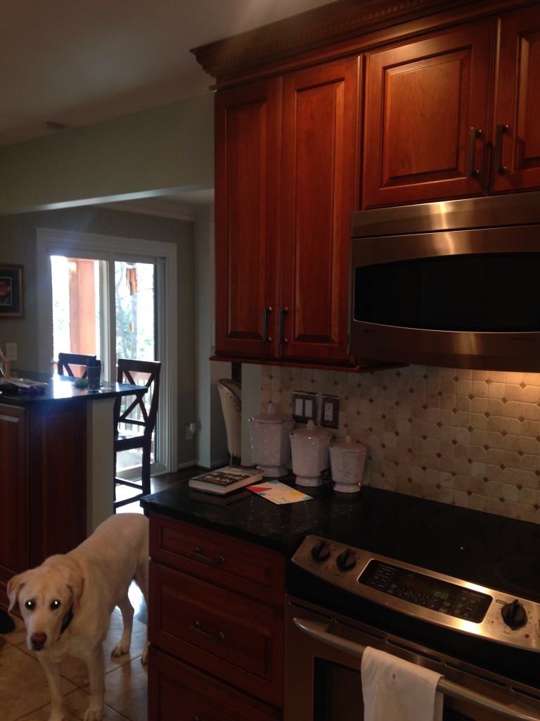 dark kitchen shelves wall coloration