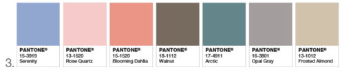 Pantone 2016 Color of the Year - Congratulations, It's Twins! - The ...