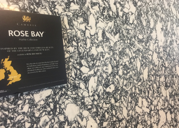 Cambria Rose Bay quartz countertop The Decorologist