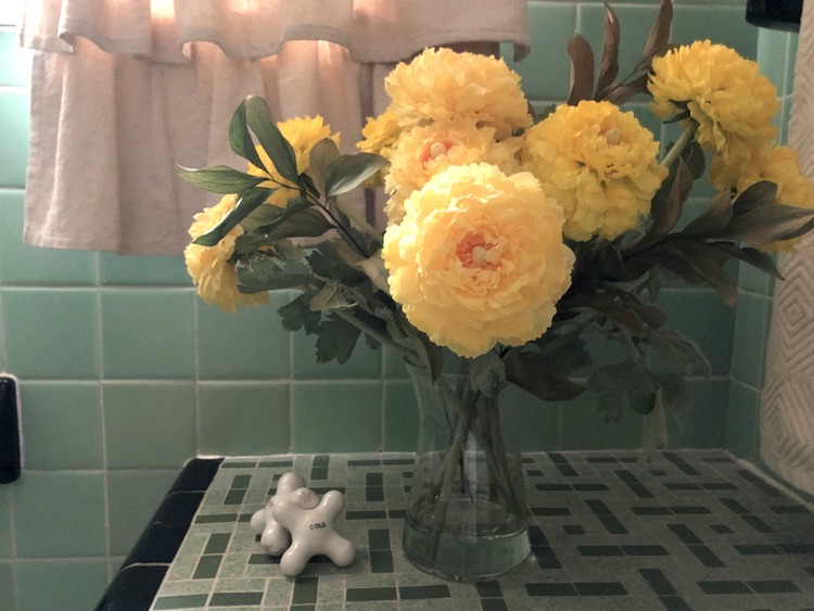 Can You Use a Window Curtain as a Shower Curtain? The Decorologist