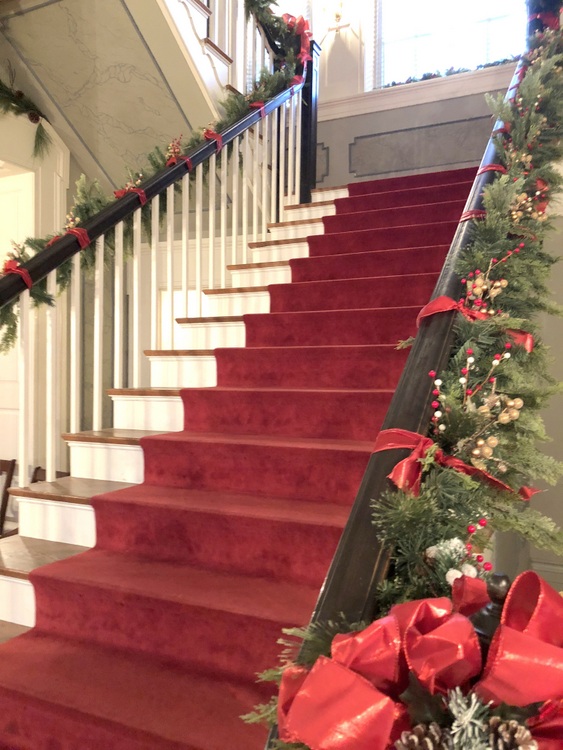 Rippavilla Mansion staircase with red runner