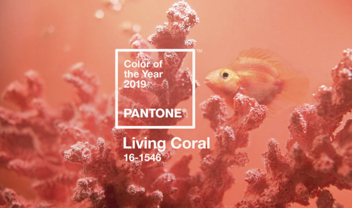 2019 Color of the Year for Pantone