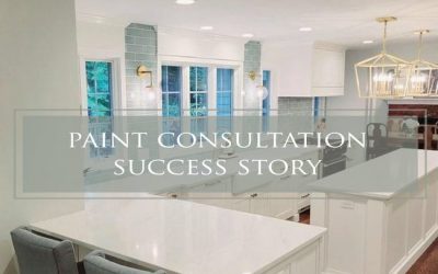 Paint Consultation Success Story