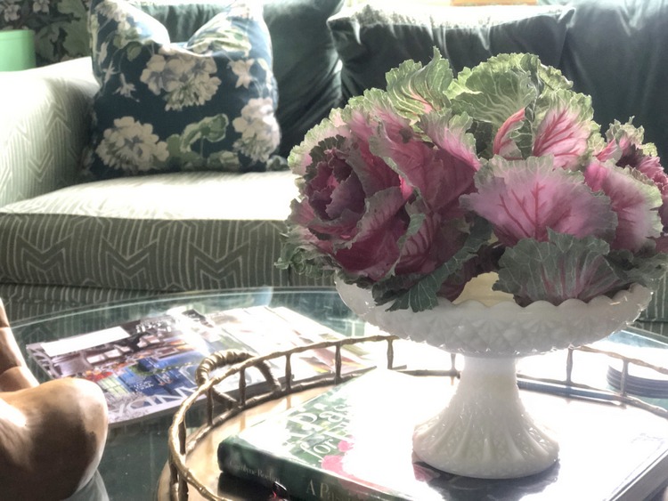 pink cabbage decor